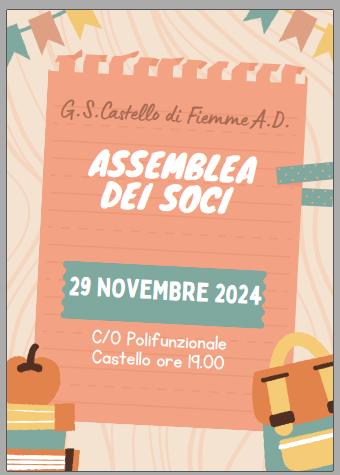 Assemblea 2024